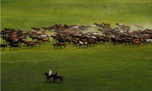 前十名股東持股情況